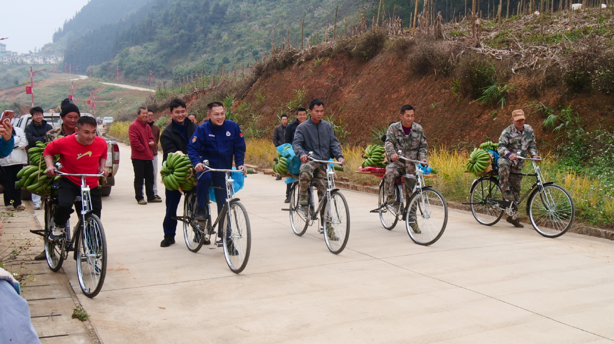 云南紅河州舉辦自行車拉香蕉比賽.JPG